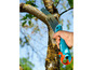Une main utilisant une scie Gardena pour élaguer une branche d'arbre.