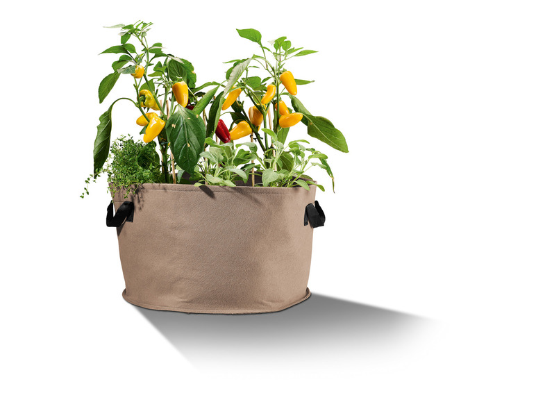 Aller en mode plein écran : PARKSIDE® Lot de 2 sacs à plantes en non-tissé - Image 34