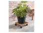 Chariot de plantes à roulettes et plante en pot.