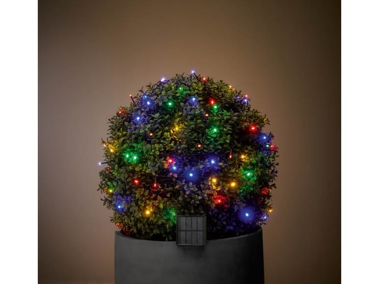 Plante ornementale verte avec lumières colorées en pot, avec panneau solaire.