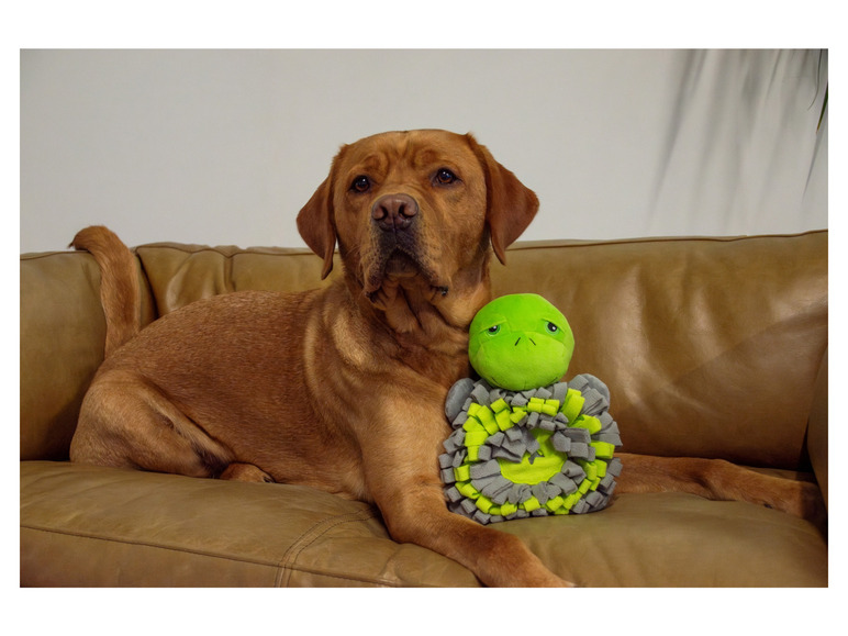 Aller en mode plein écran : Peluche pour chien - Image 5