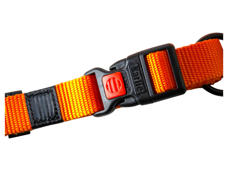 Aller en mode plein écran : Collier avec laisse - Image 31
