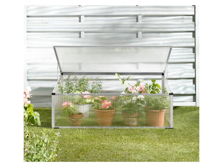 Serre en aluminium et polycarbonate avec plantes en pot sur herbe verte contre un mur blanc.