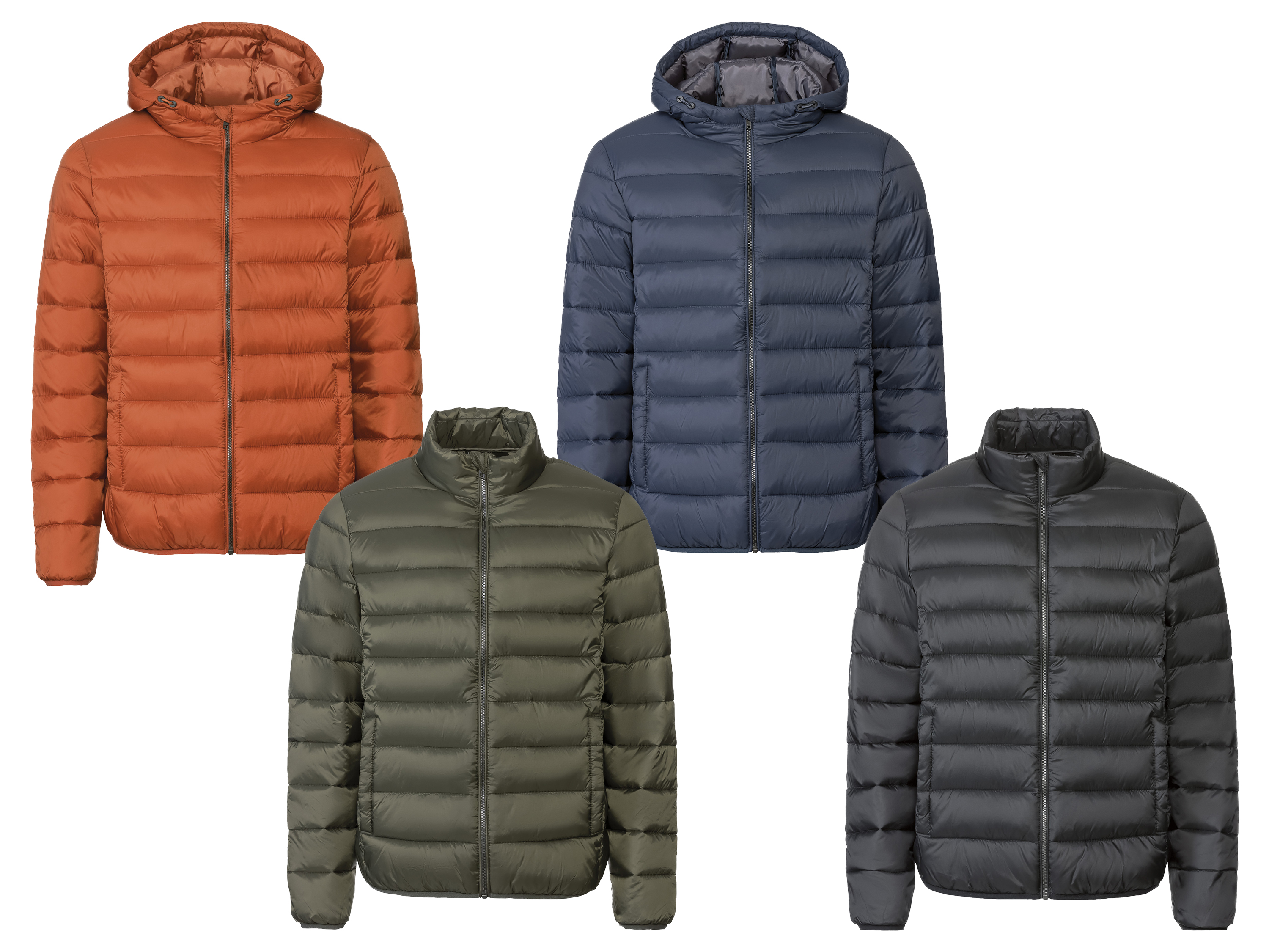 LIVERGY® Doudoune légère homme