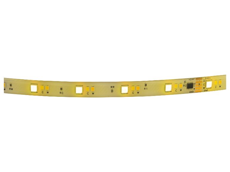 Bande lumineuse LED avec diodes blanc chaud et froid, entrée d'alimentation 24V et connexions GND.