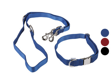 zoofari® Collier pour chien avec laisse