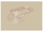 Quatre dessous de verre ronds beiges disposés sur une surface beige.