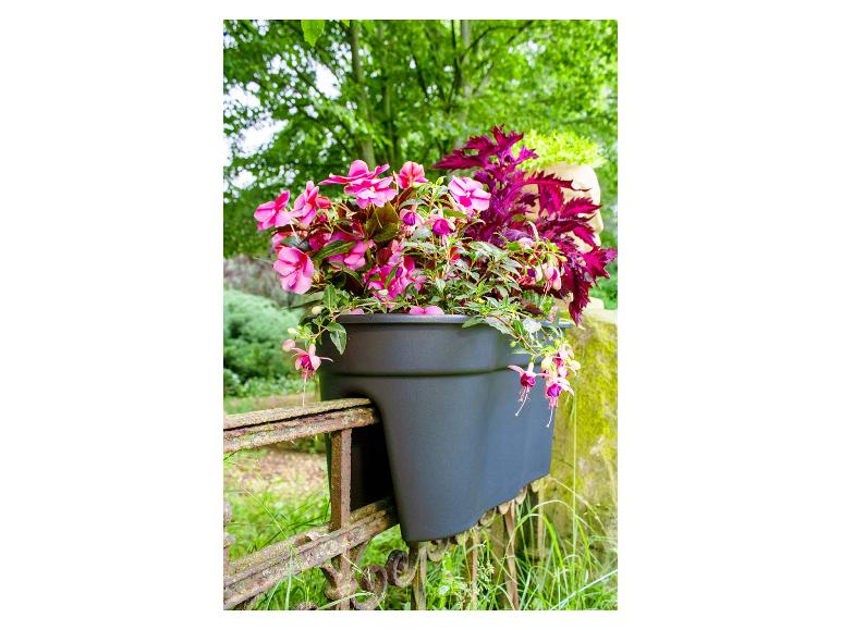 Jardinière suspendue avec des fleurs roses et fuchsia sur une balustrade en fer rouillée.