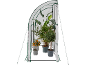Serre tunnel avec plantes en pot, dont agrumes, palmier et laurier-rose.