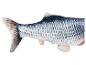 La queue d'un poisson en peluche avec des écailles.