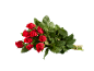 Bouquet de roses rouges avec des feuilles vertes sur fond noir