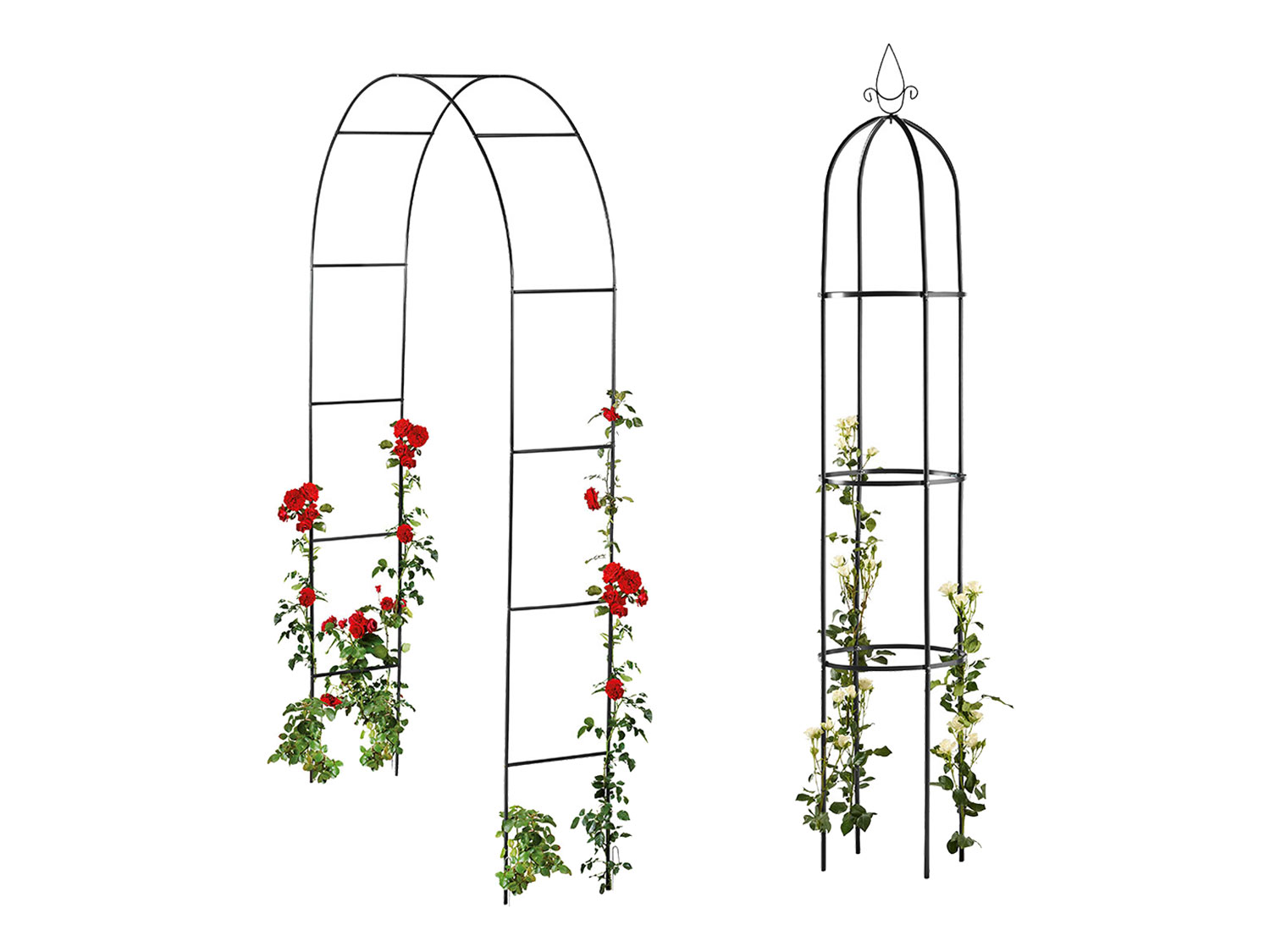 LIVARNO home Arche pour rosiers ou Tuteur colonne