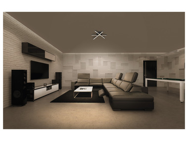 LIVARNO home Plafonnier à LED