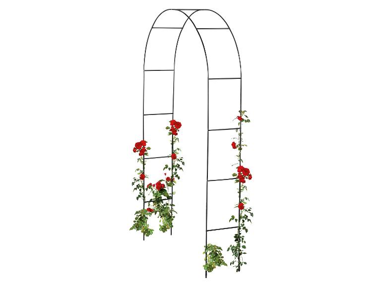 Arche à roses noire avec des rosiers grimpants rouges.