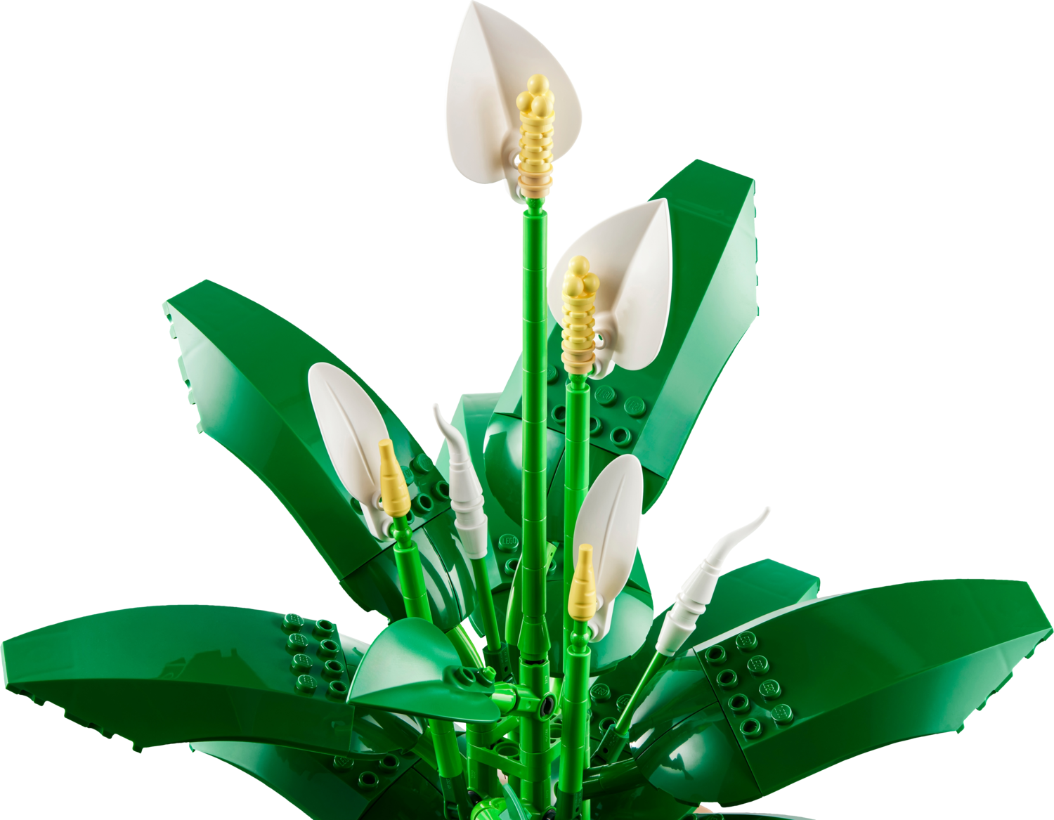LEGO® Botanicals 11504 Les fleurs de lune - vue 3
