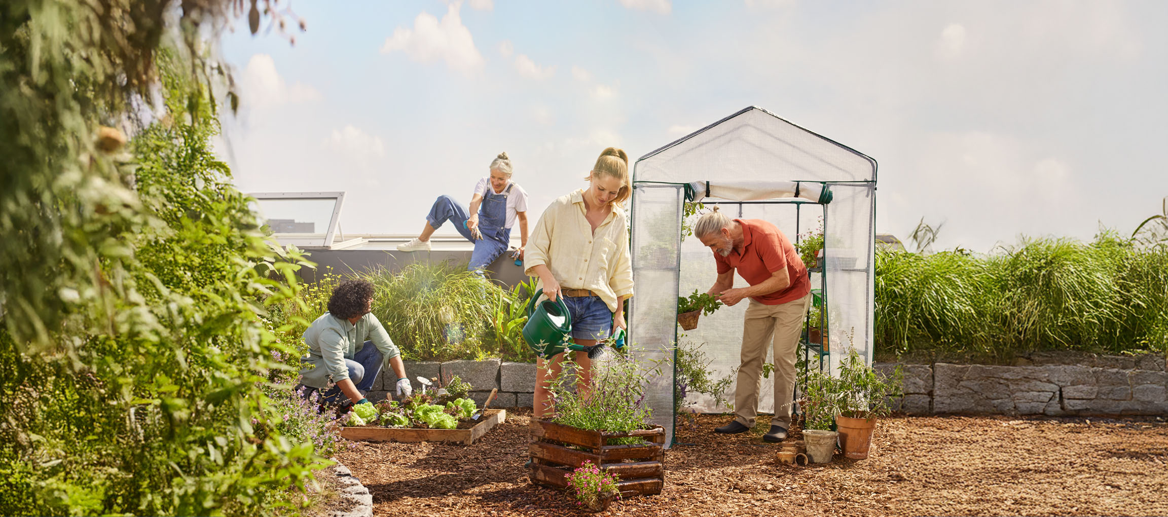 Quatre personnes s'occupent d'un jardin sur le toit avec une serre portable.