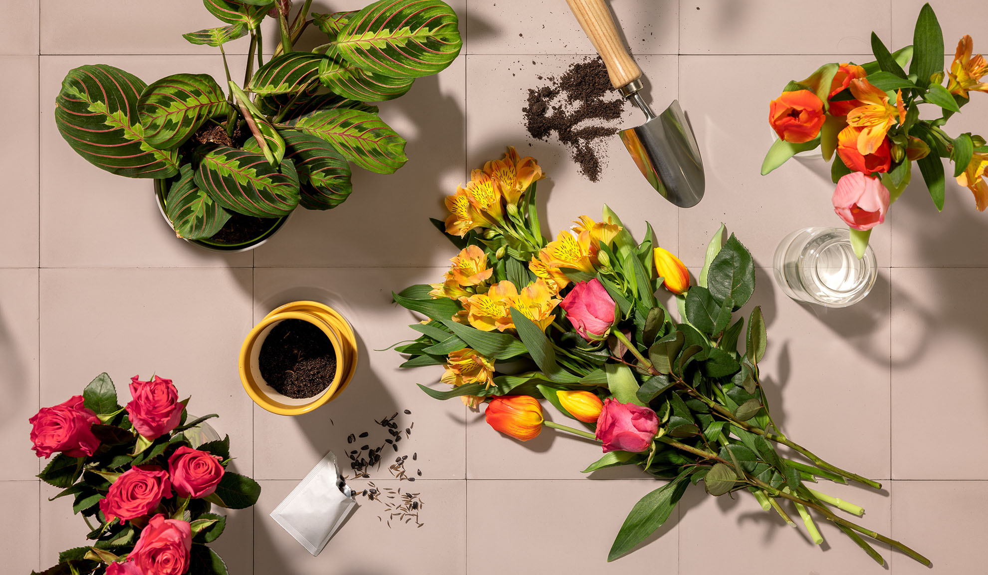 Vue d'ensemble d'outils de jardinage, de plantes en pot et de bouquets de fleurs colorées sur une surface carrelée.
