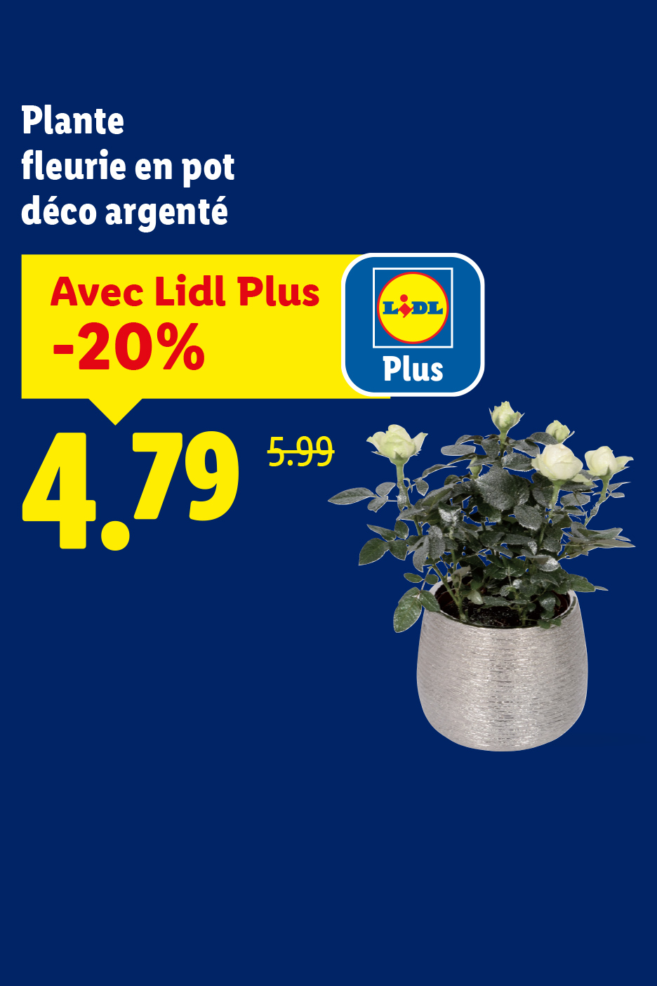 Plante fleurie en pot décoratif argenté, avec une réduction de 20% pour les membres Lidl Plus.