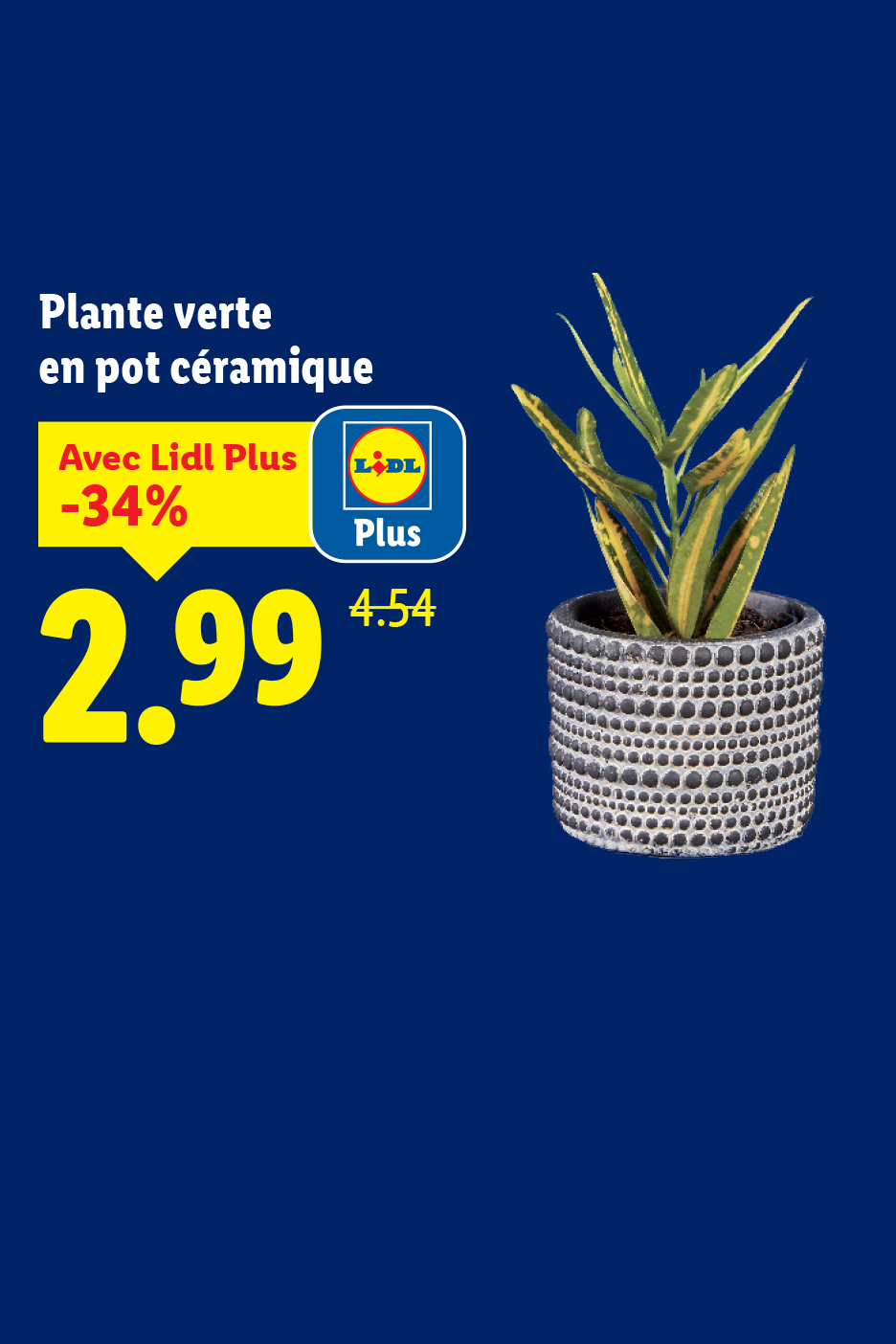 Plante verte en pot céramique, avec Lidl Plus à 2,99€ (-34%) au lieu de 4,54€.