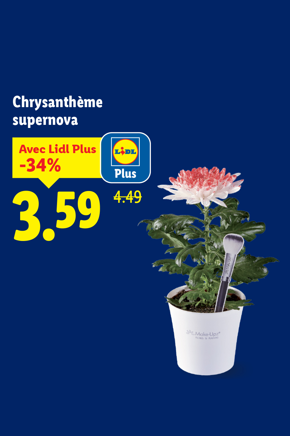 Chrysanthème supernova en pot blanc avec une brosse de maquillage, prix réduit à 3,59€ avec la carte de fidélité.