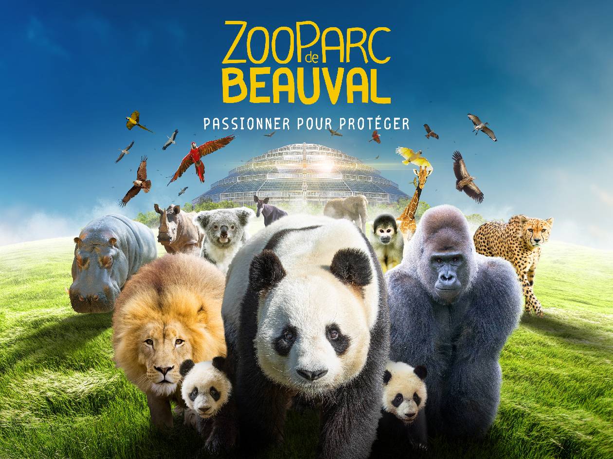 Zoo de Beauval