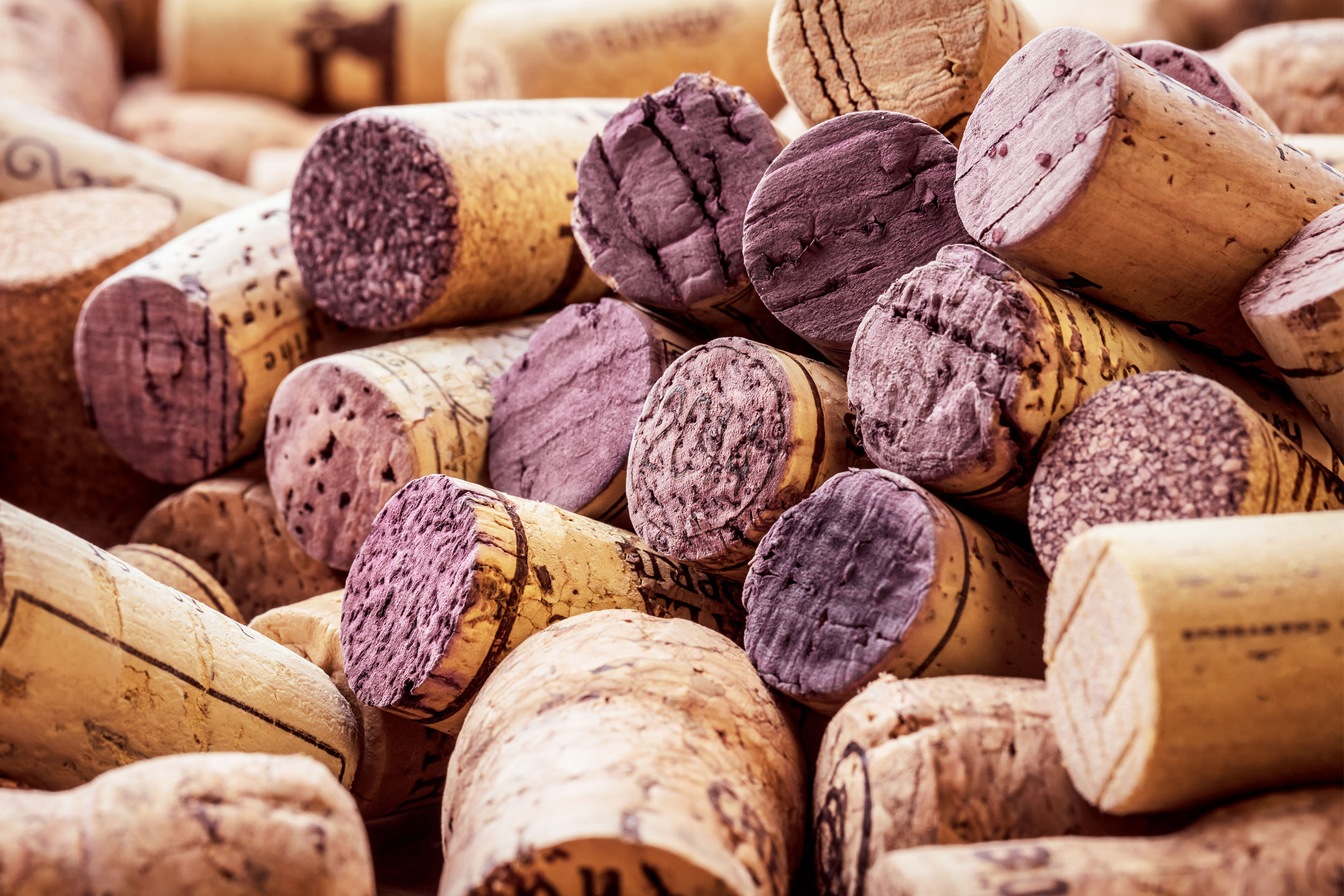 Gros plan sur un tas de bouchons de vin usagés, beaucoup tachés de violet par le vin rouge.