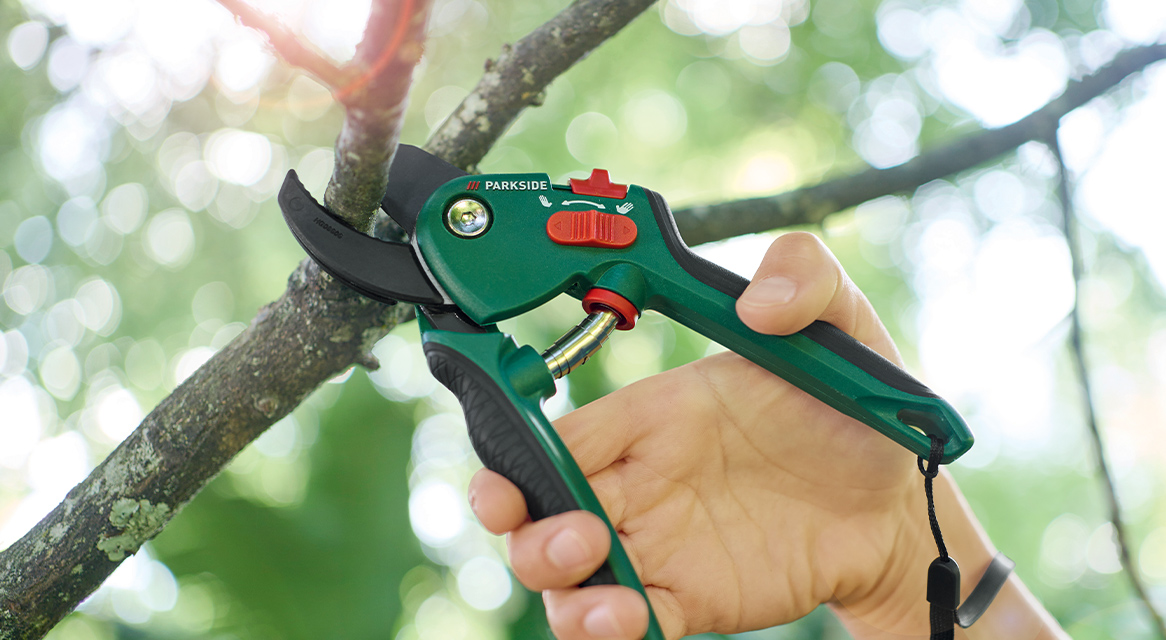 Sécateur Parkside, taille de branches.