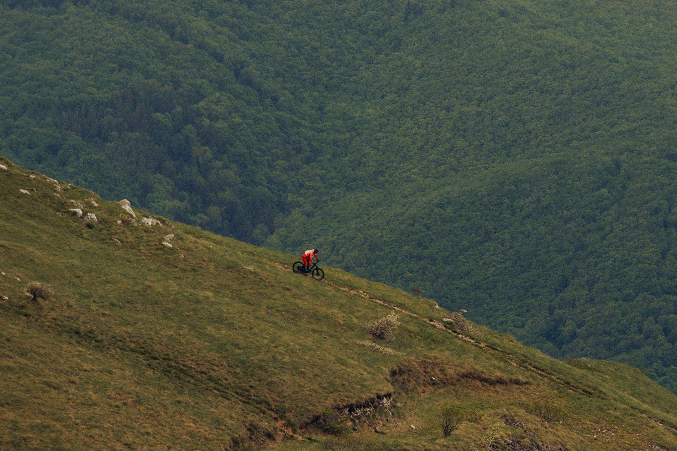 aiLabeling.aiLabelForImageAltText: Cycliste descendant un sentier de montagne avec une forêt dense en arrière-plan.