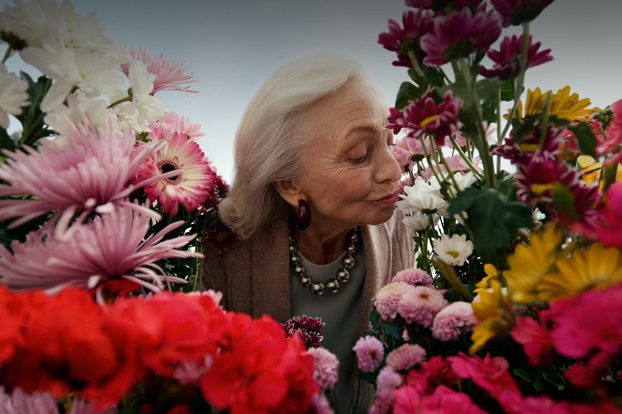 Profitez d'offres fleuries sur le rayons Plantes et fleurs dans votre supermarché Lidl