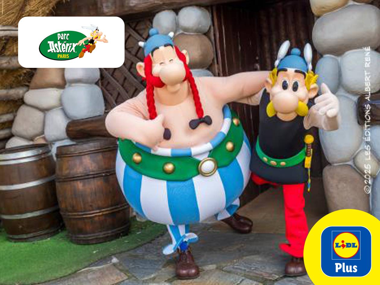-15% sur les entrées plein tarif au Parc Astérix