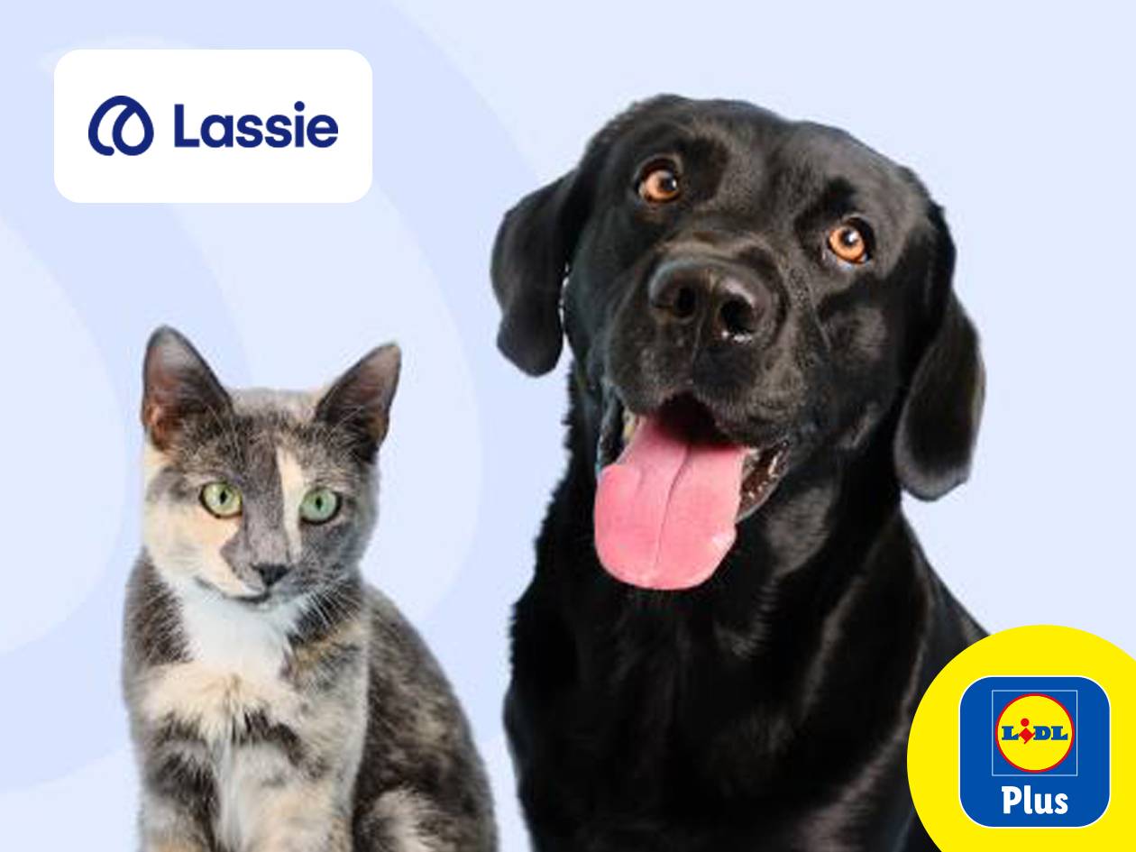 Un chat et un chien noir avec les logos Lassie et Lidl Plus.
