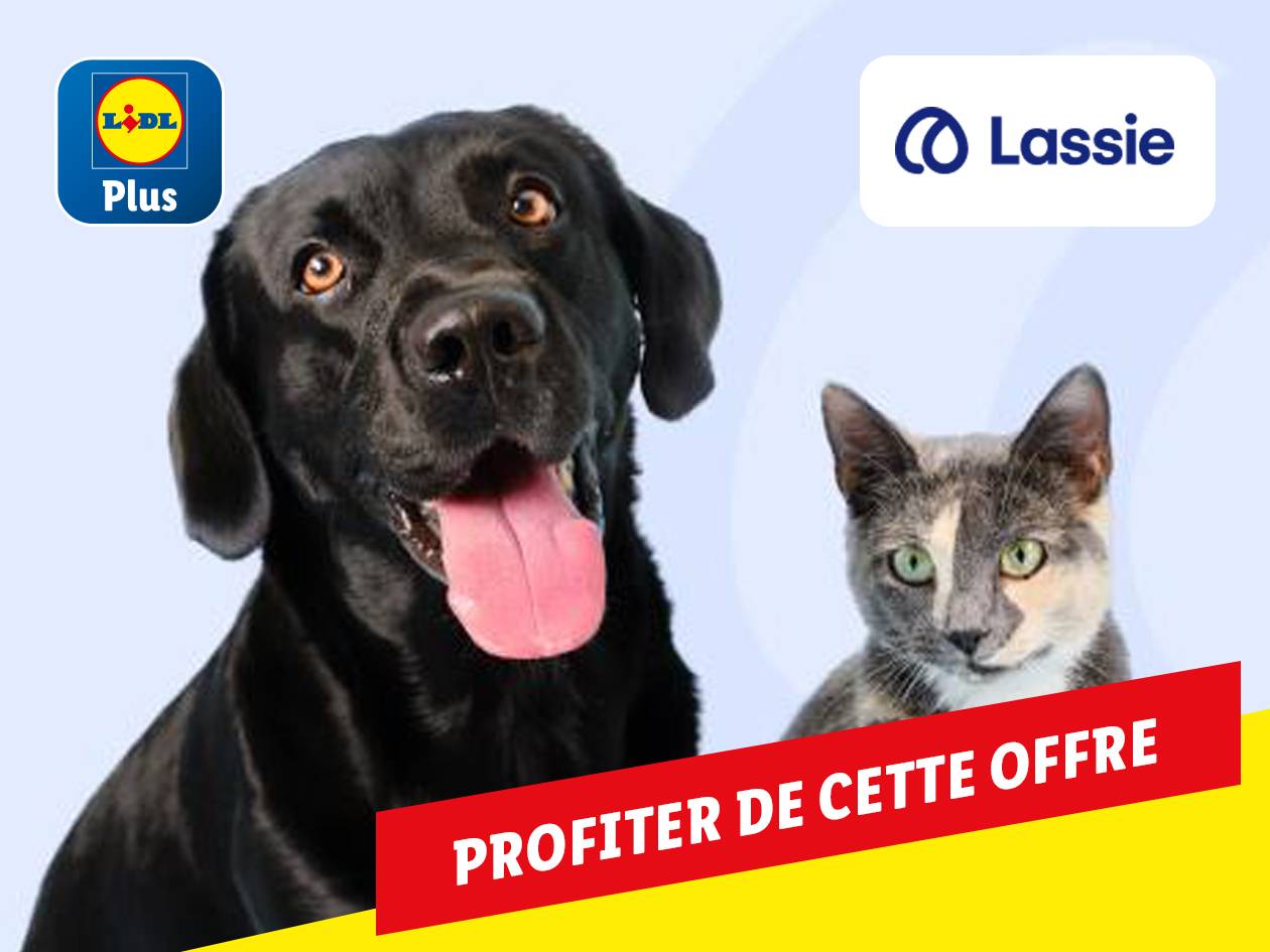 Lidl Plus et Lassie offrent des produits pour animaux de compagnie.