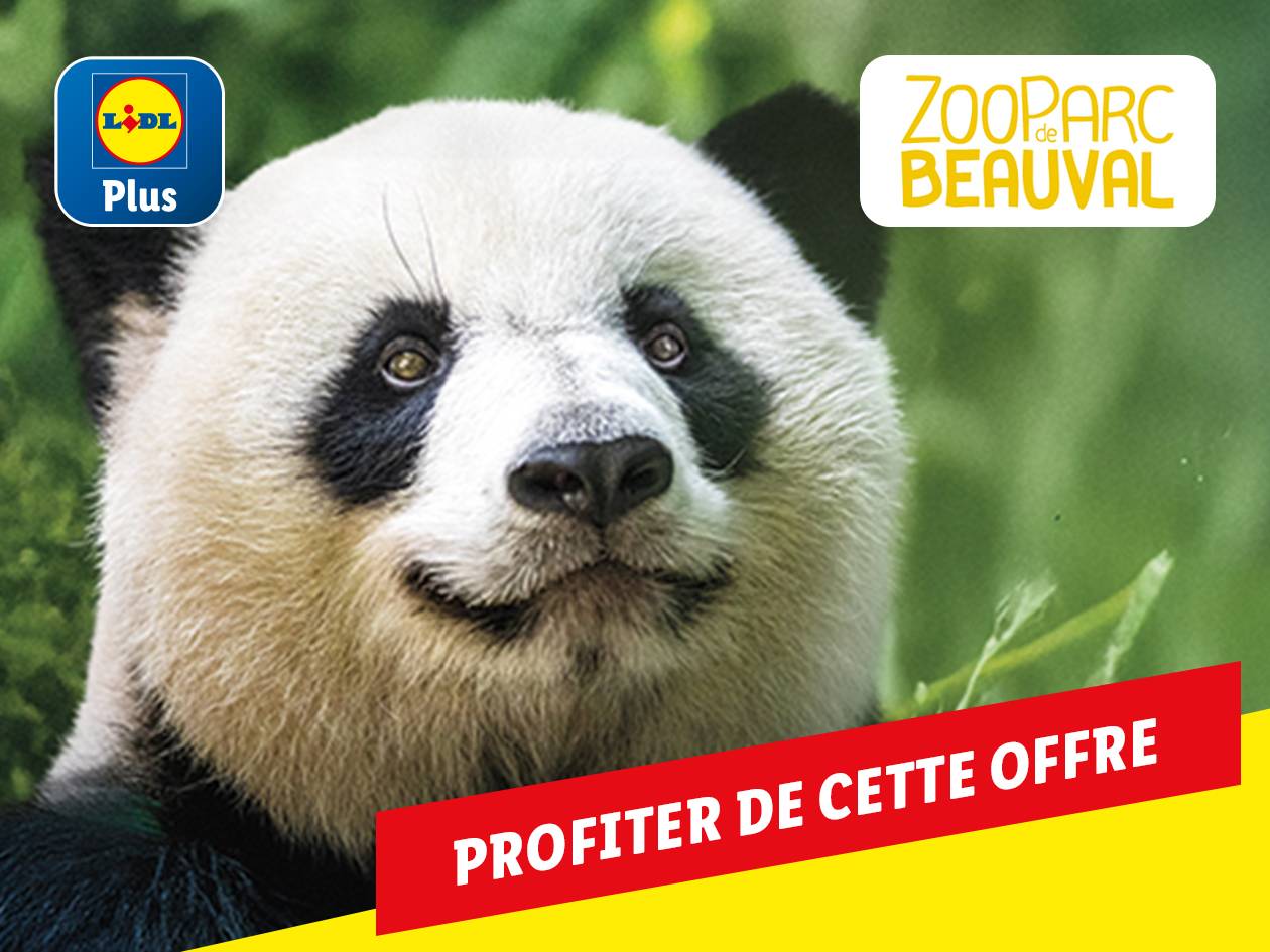 Offre Lidl Plus : Billets ZooParc de Beauval avec un panda géant.