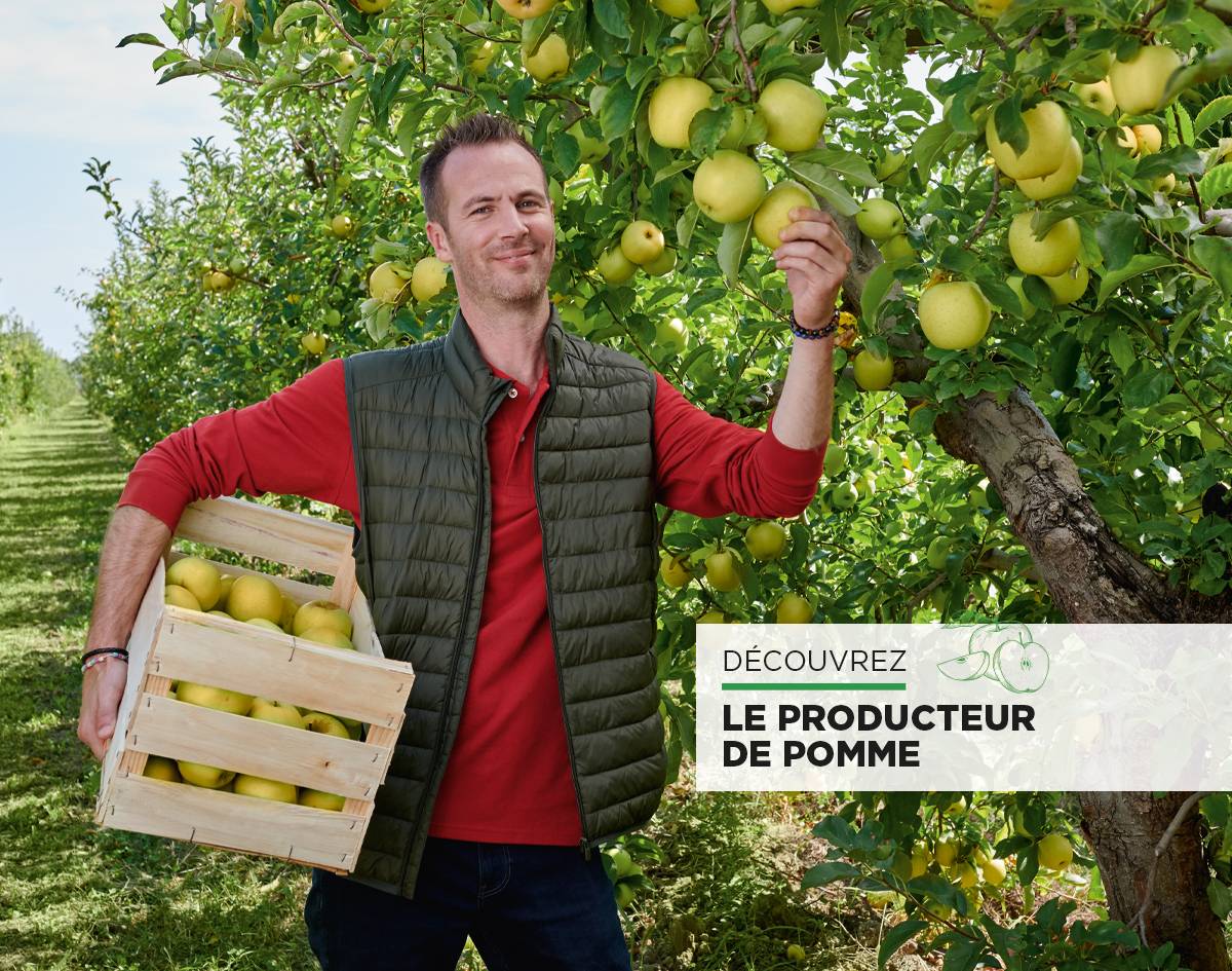 La pomme, la star du verger