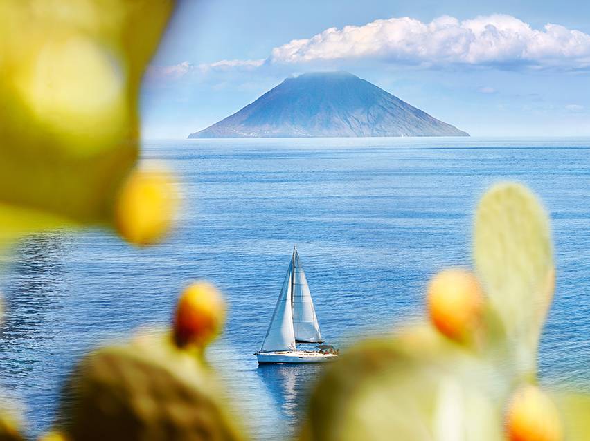 Voilier sur l'eau avec une île volcanique en arrière-plan, encadré par des figues de Barbarie.