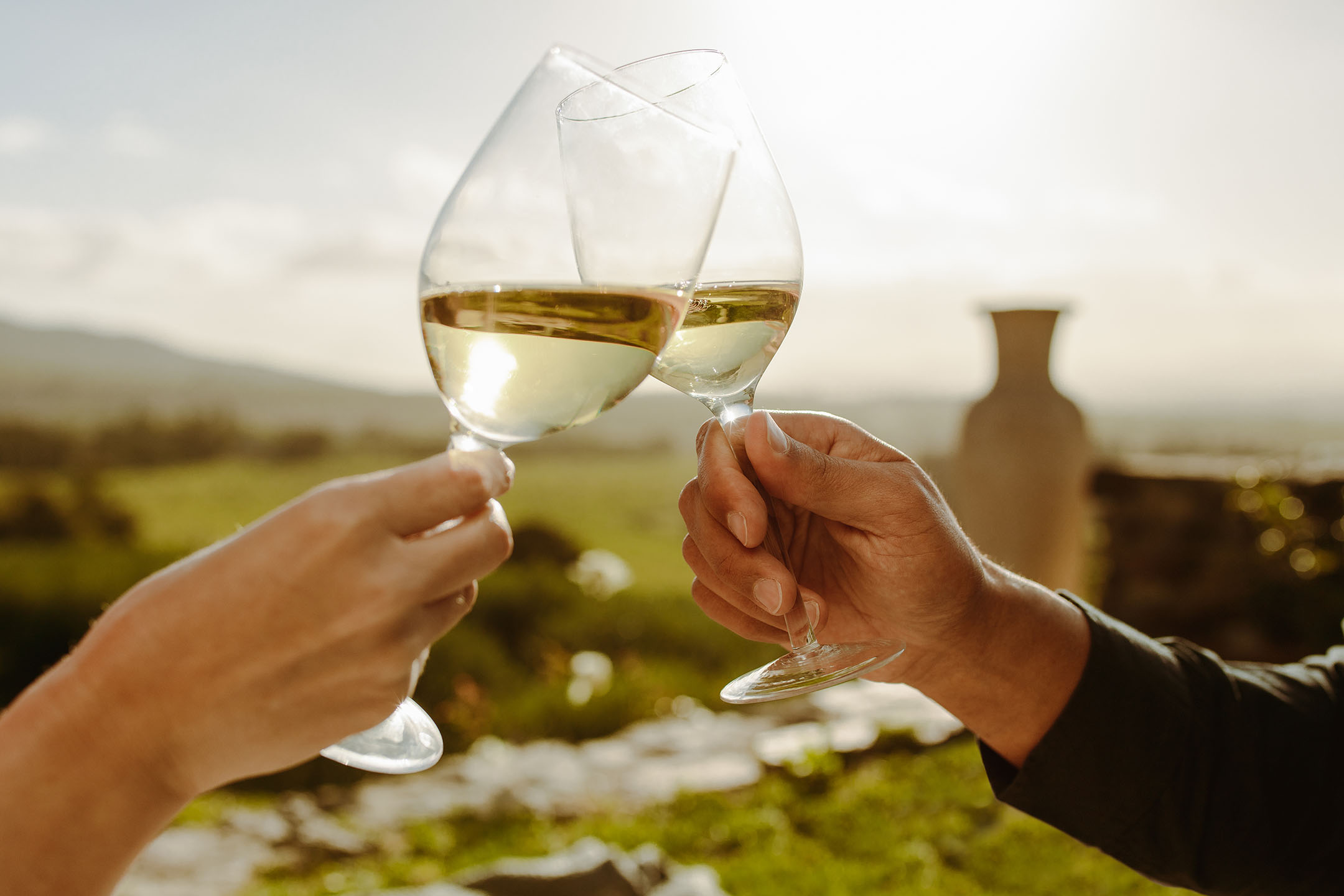 Deux mains trinquent avec des verres de vin blanc dans un cadre champêtre ensoleillé.