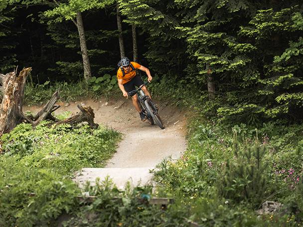 Cycliste de montagne sur un sentier forestier.
