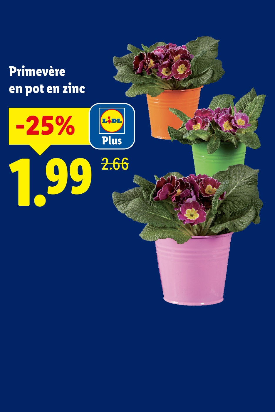 Primevères en pot en zinc, offertes à 1,99€ avec une réduction de 25%.