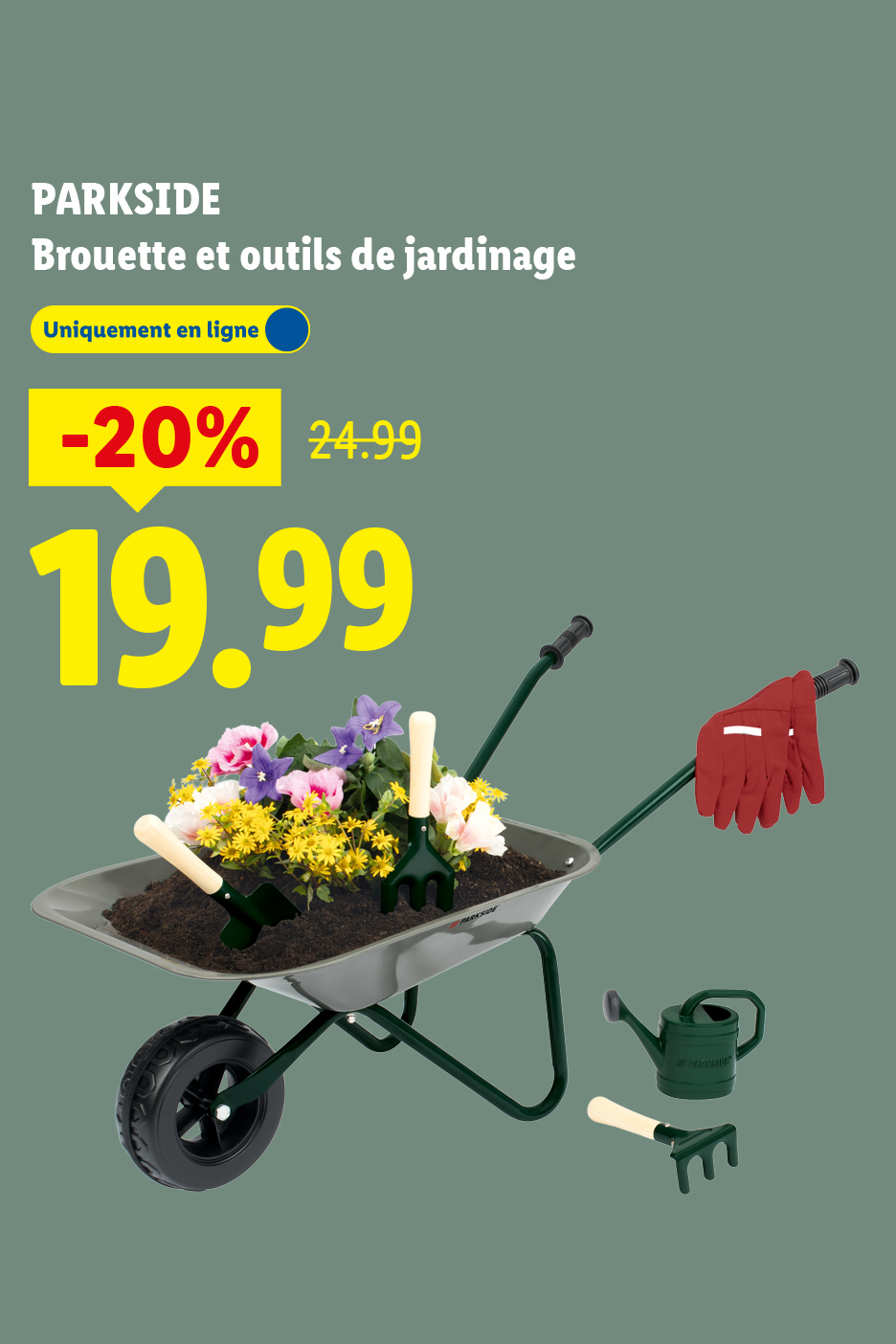 Brouette et outils de jardinage avec fleurs, gants et arrosoir, en ligne, -20% à 19,99€.