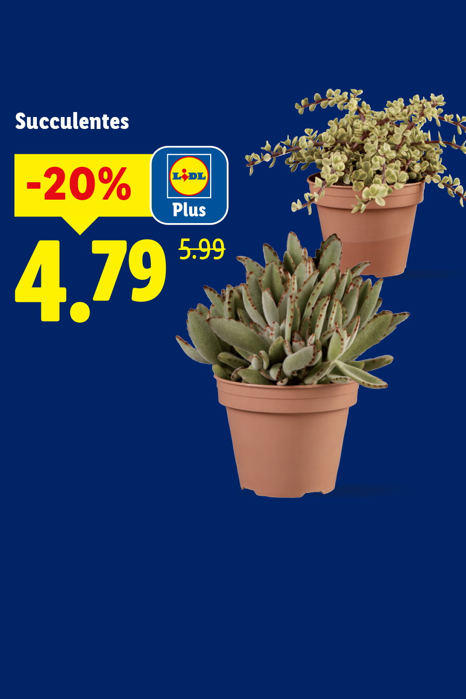 Deux plantes succulentes en pot avec une offre de -20% à 4,79€ (prix initial 5,99€).
