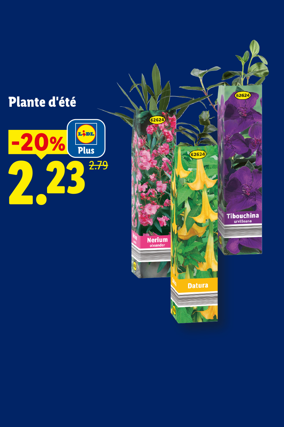 Plantes d'été en promotion : Nerium, Datura et Tibouchina, à 2,23€ au lieu de 2,79€.