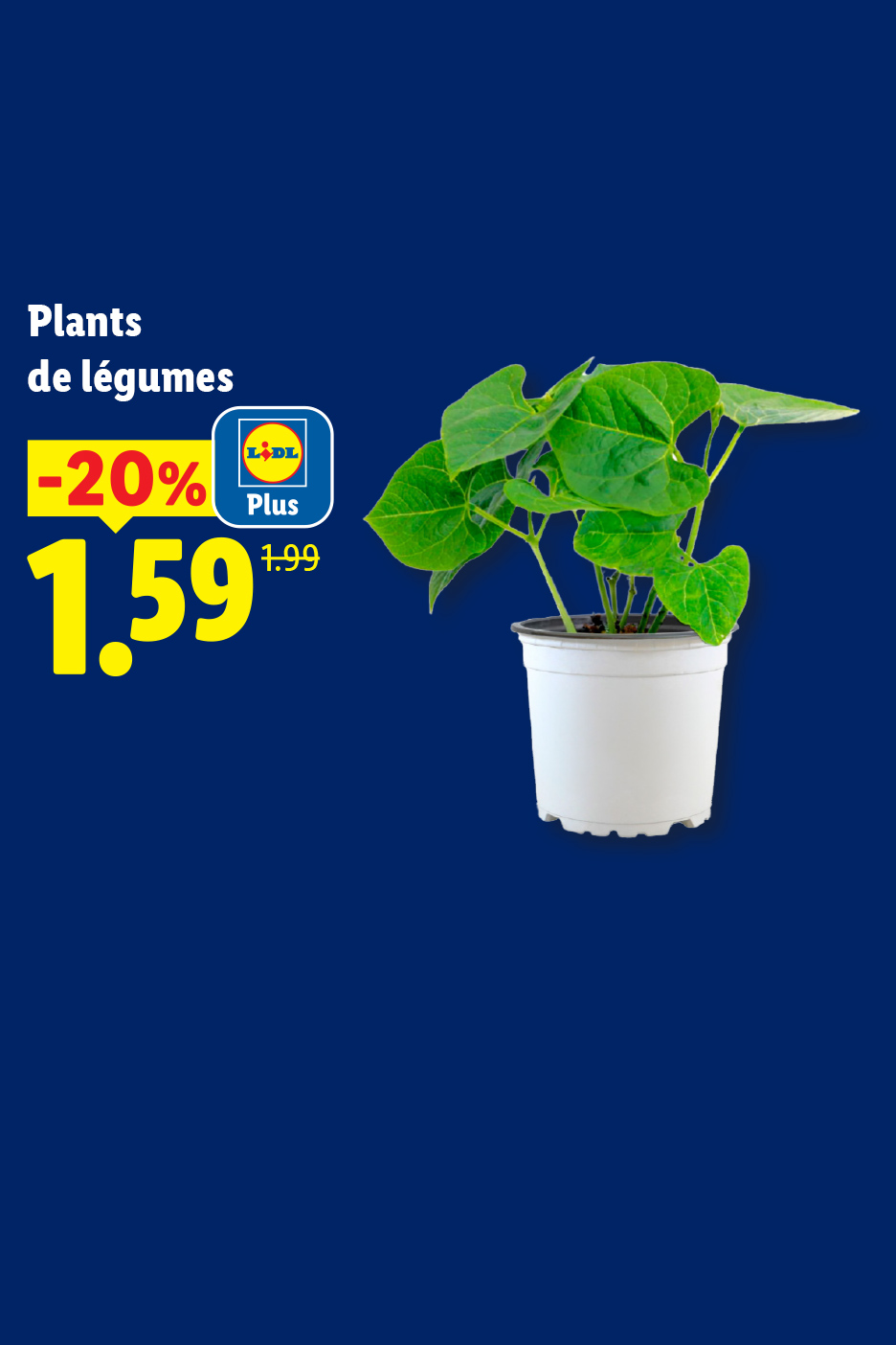 Jeudi 14/05, profitez de Plant de légumes à 1,59€ l'unité grâce à une remise de -20% avec Lidl Plus