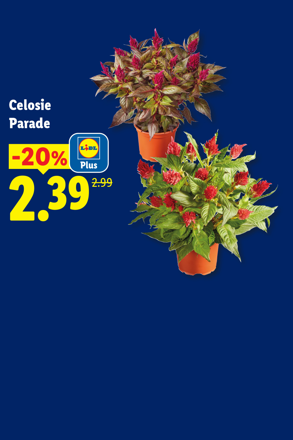 Le jeudi 04/06, profitez de -20% de remise avec Lidl plus sur un pot de Calosie Parade.