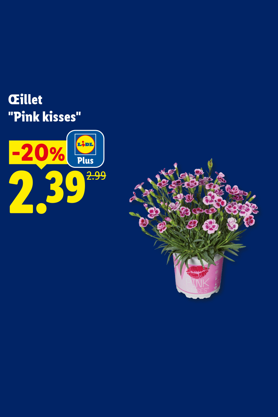 Le 18/06, profitez de -20% de réduction avec Lidl Plus sur nos Œillet 'Pink Kisses' en pot, à 2,39€ au lieu 2,99€