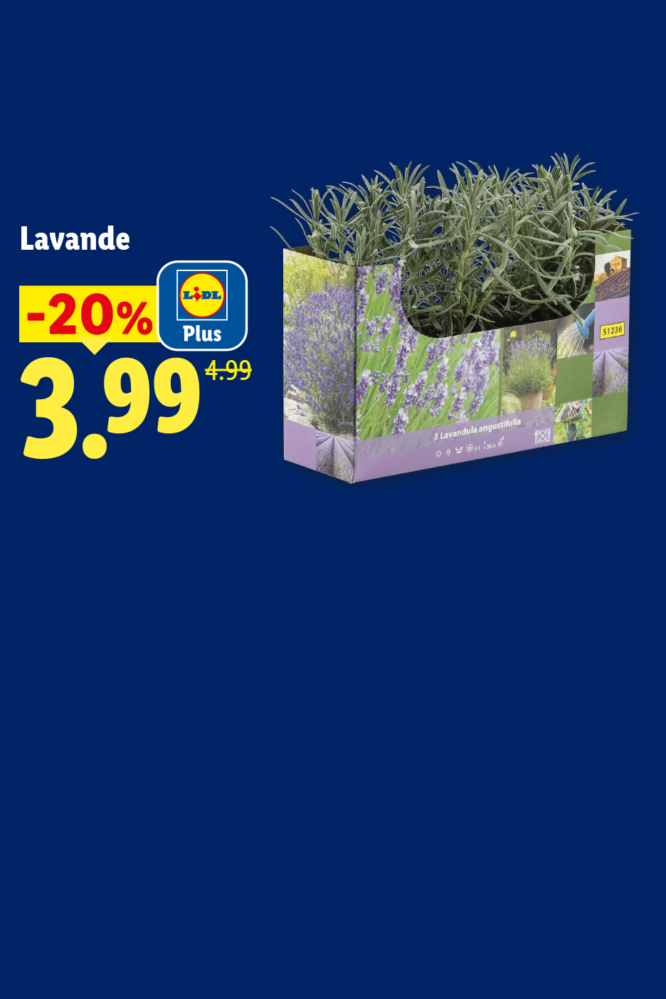 Du 02/07 au 05/07, profitez de -20% de réduction avec Lidl Plus sur notre lavande, à 3,99€ au lieu de 4,99€, seulement chez Lidl !