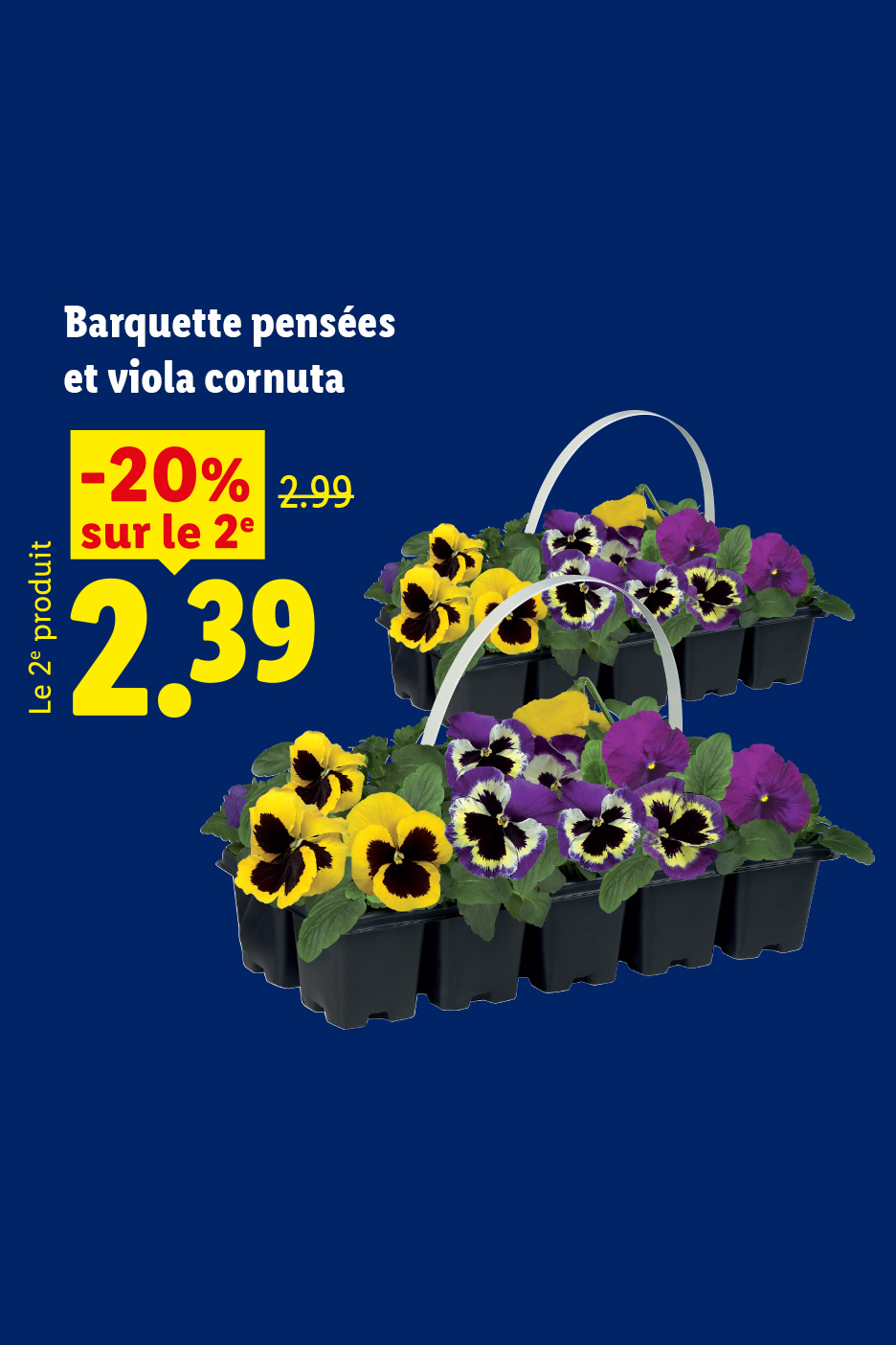 A partir du jeudi 17/09, profitez de notre barquette de pensées et viola cornuta avec une réduction de -20% sur le 2e produit, soit le 2ème à 2,39 € au lieu de 2,99€.