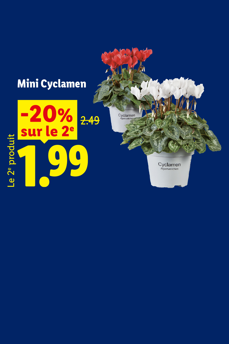 A partir du jeudi 24/09, profitez de -20% sur le 2ème mini Cyclamen soit le deuxième produit à 1,99 €au lieu de 2,49€, seulement chez Lidl !