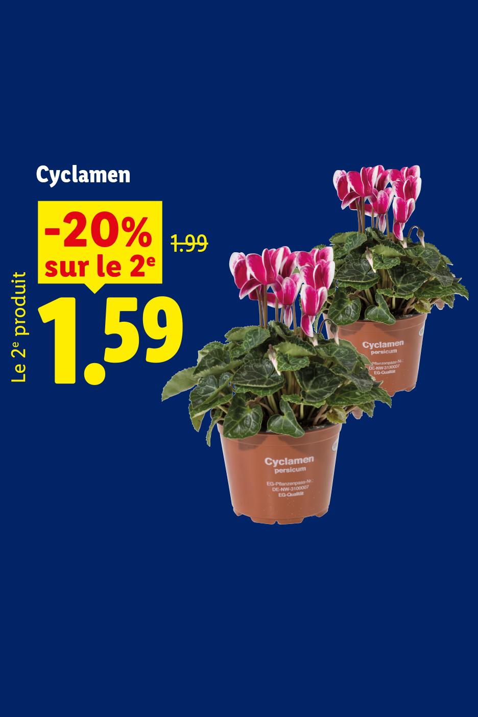 A partir du jeudi 08/10, profitez du deuxième cyclamen à -20% de réduction, soit le second produit à 1,59€ au lieu de 1,99€, uniquement chez Lidl !