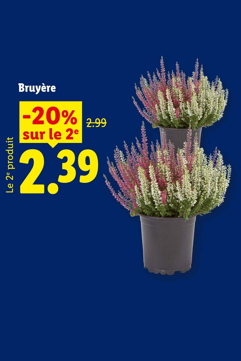 A partir du 15/10, profitez de notre bruyère en pot avec une réduction de 20% sur le deuxième produit., soit le 2e produit à 2,39€ au lieu de 2,99€, seulement chez Lidl !