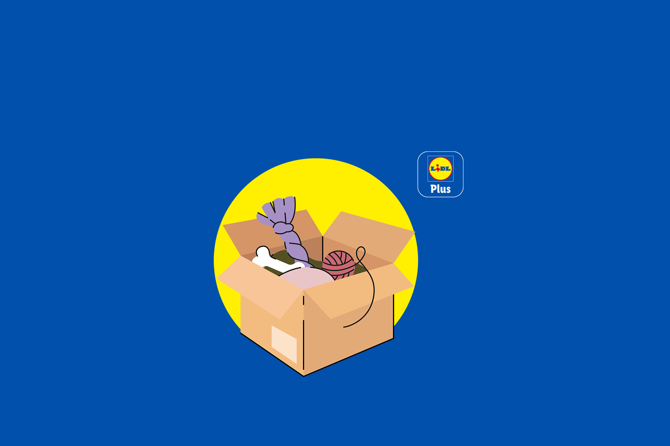 Boîte en carton remplie de fournitures pour animaux de compagnie comme un os, un jouet en corde et du fil, sur fond bleu.
